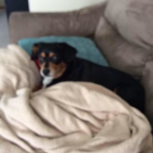 Meet your Posher, Jay